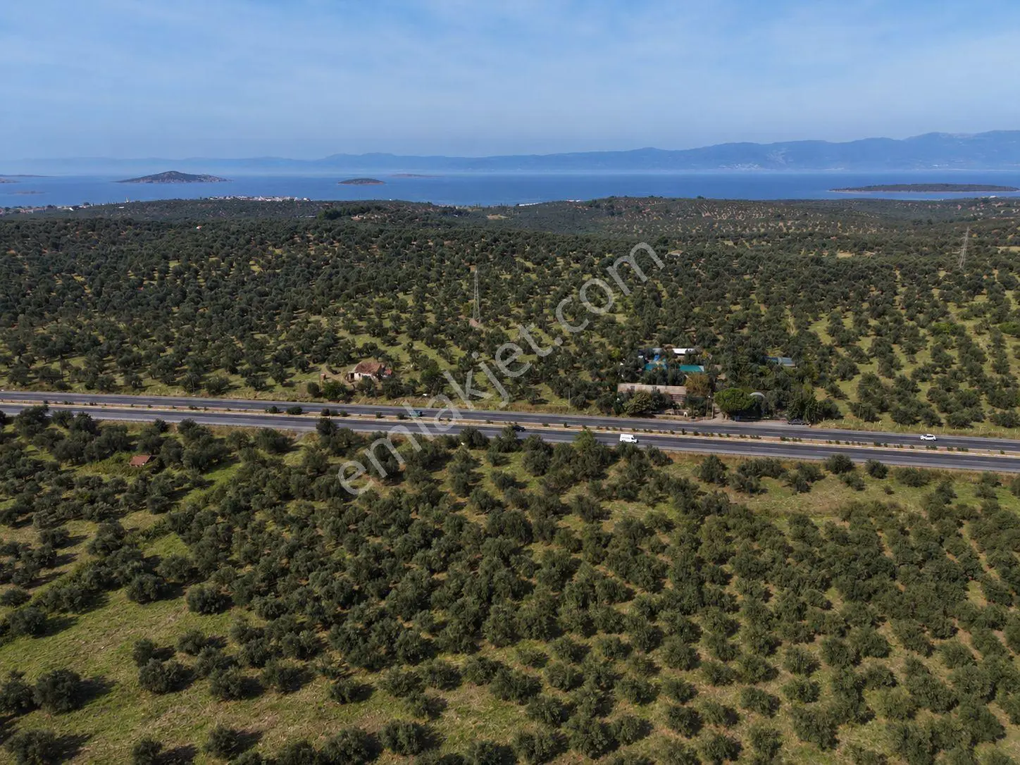 Mera Emlak Ayvalıkta Ana Asfalta Cephe 65 Dönüm Tarla-zeytinlik — fotoğraf 26