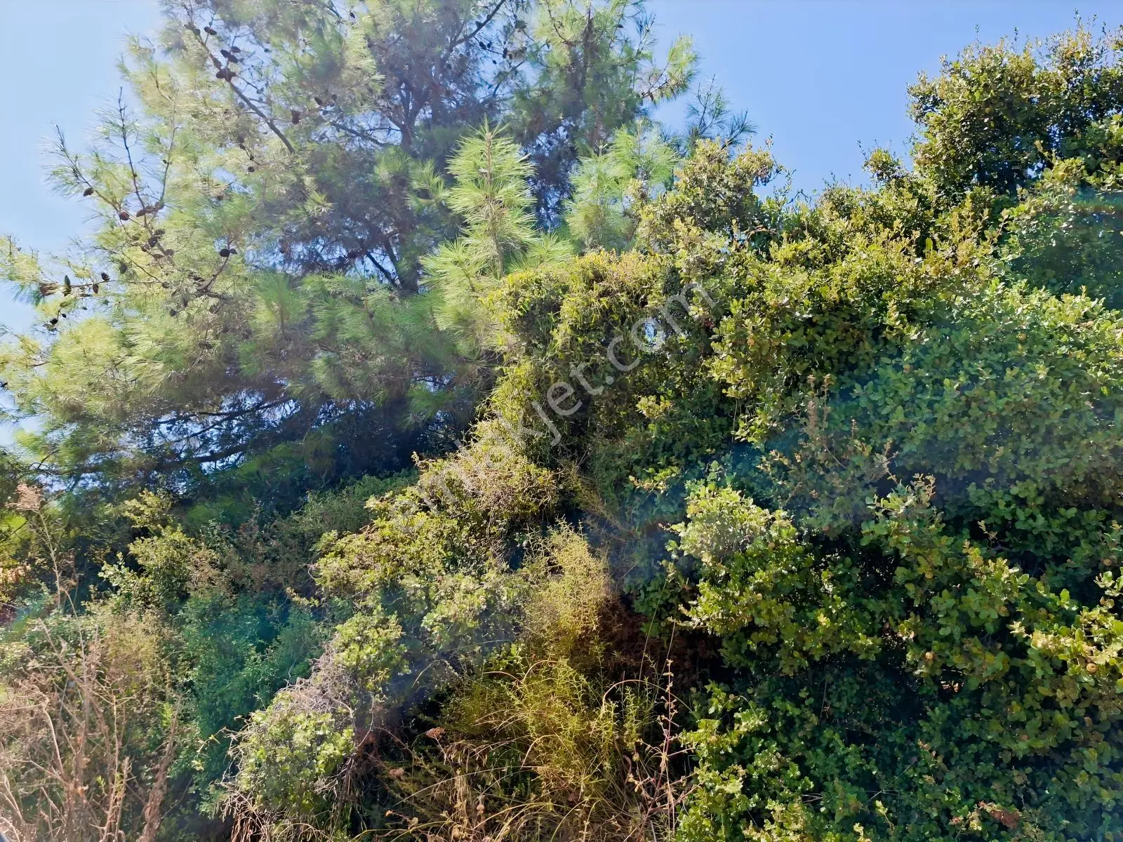 Çalkaya Mandırlarda Panoromik Manzaralı 414 M2 Köşe Parsel Arsa — fotoğraf 6