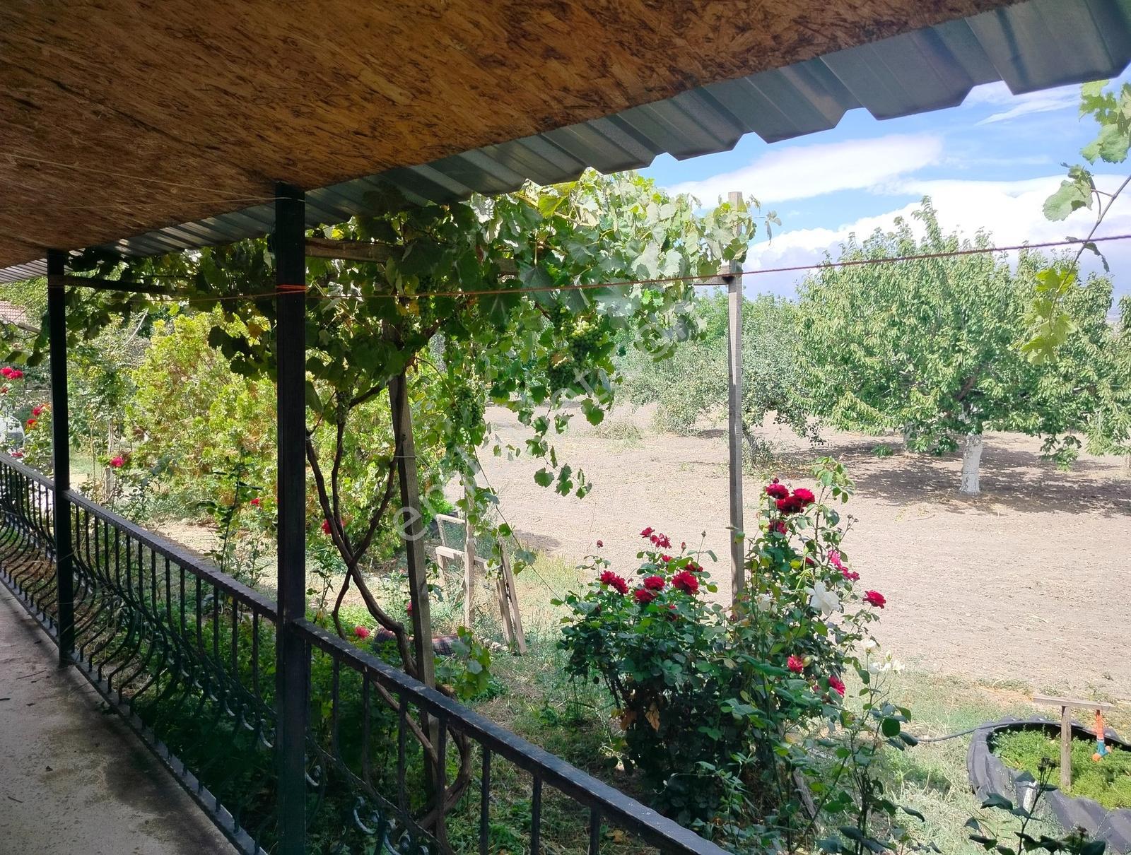 Kahramankazan Günbaşı Satılık Tarla — fotoğraf 14