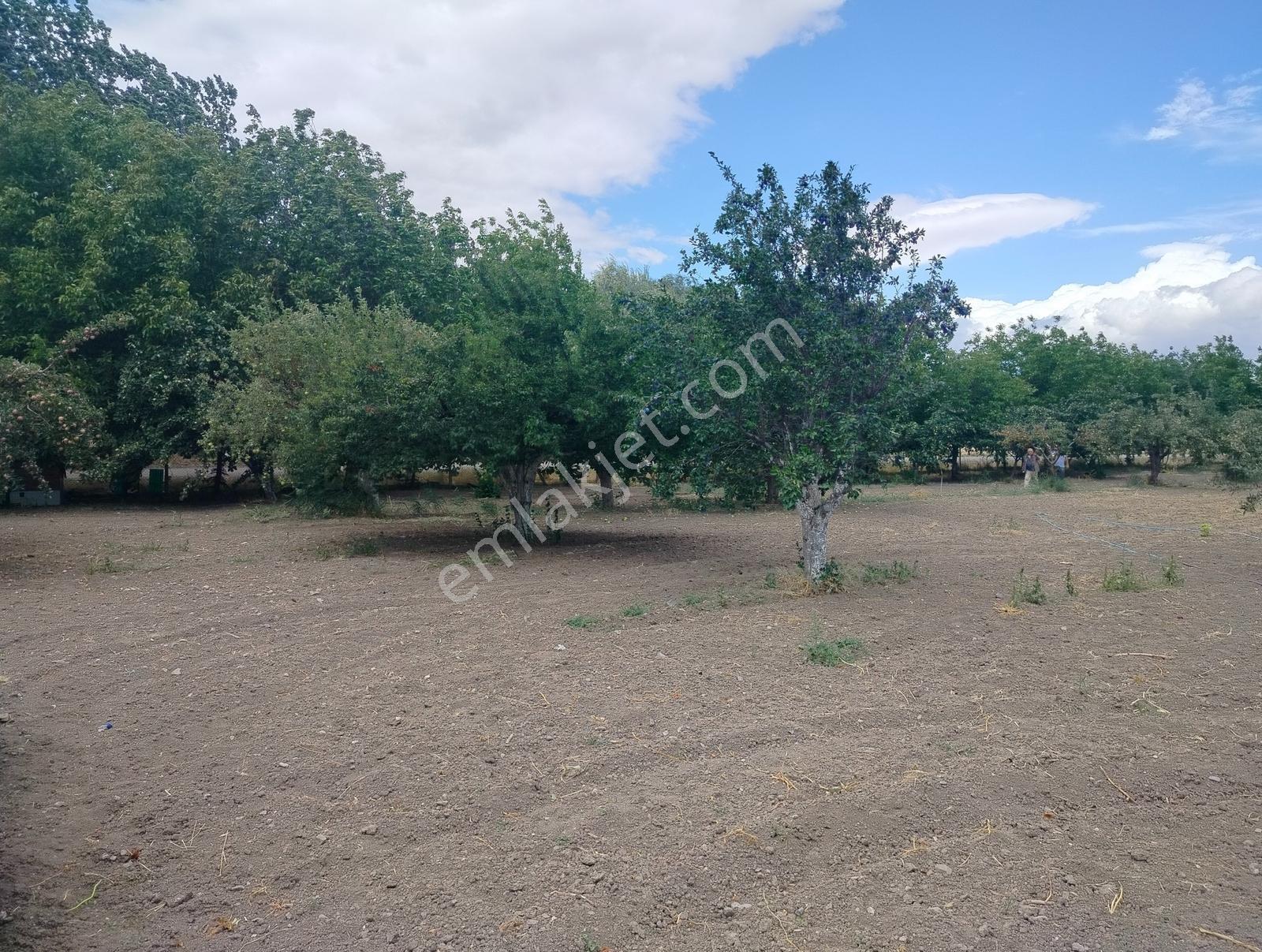 Kahramankazan Günbaşı Satılık Tarla — fotoğraf 26