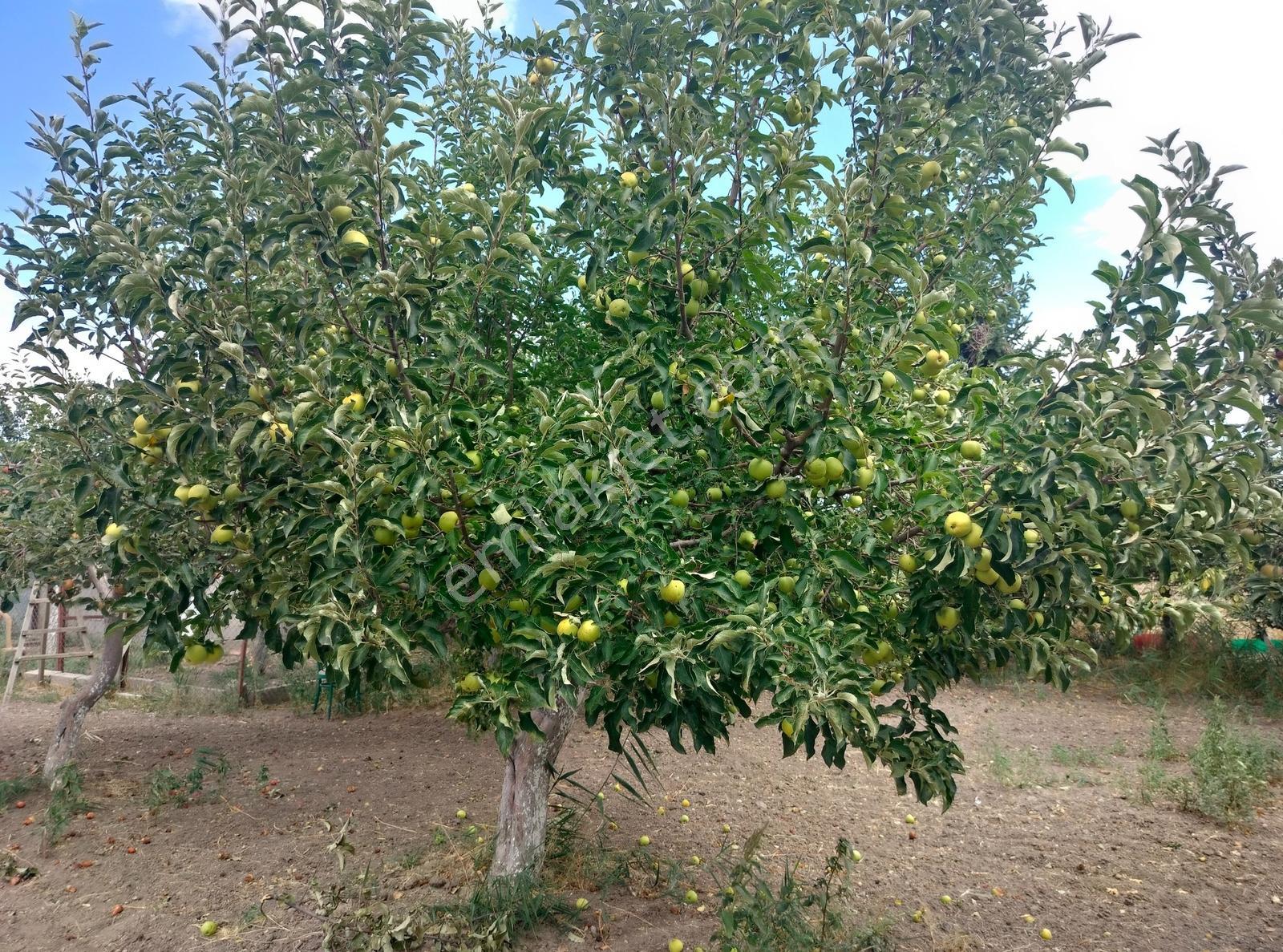 Kahramankazan Günbaşı Satılık Tarla — fotoğraf 29