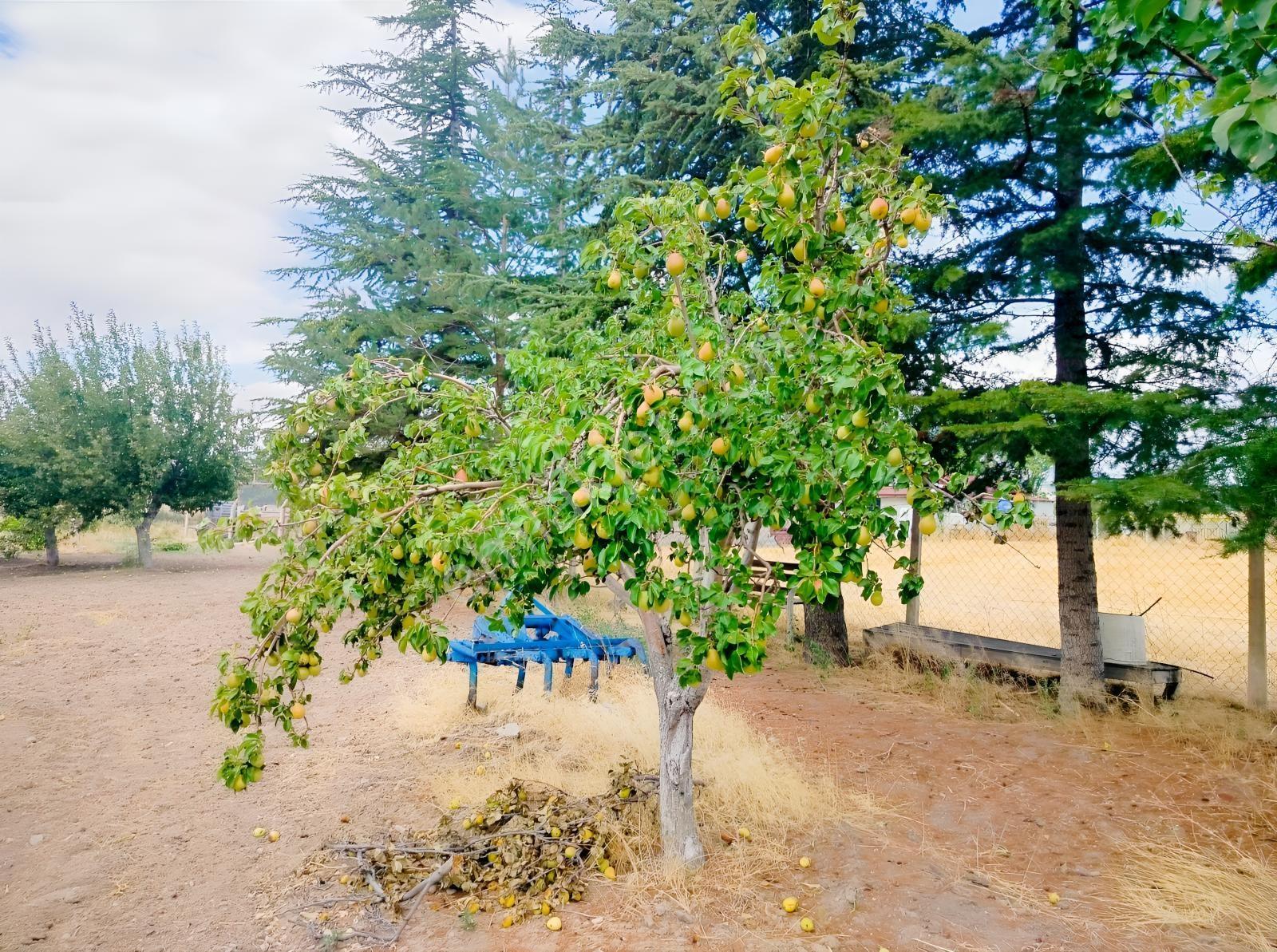 Kahramankazan Günbaşı Satılık Tarla — fotoğraf 31