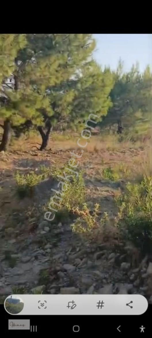 İdamax'tan Karaöz'de Satılık,deniz Manzaralı Tarla — fotoğraf 7