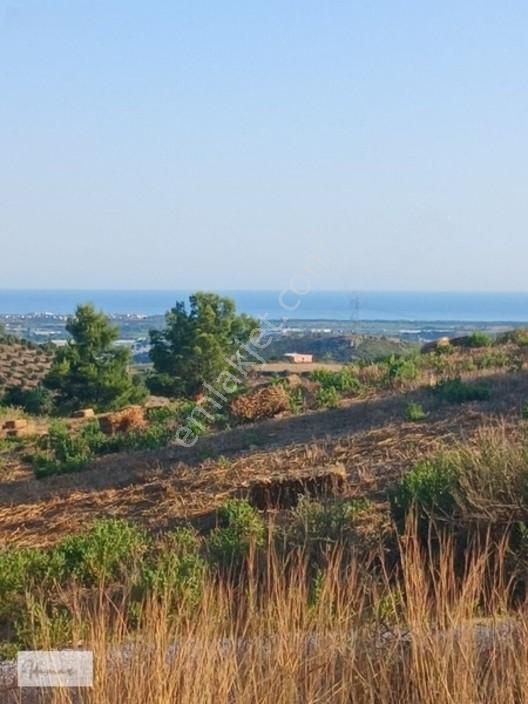 İdamax'tan Karaöz'de Satılık,deniz Manzaralı Tarla — fotoğraf 9
