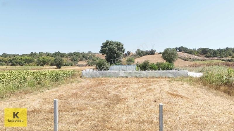 Kolaytapu Trakya'nın Gözdesi (ünlülerin Köyünde) Hobi Bahçesi — fotoğraf 6