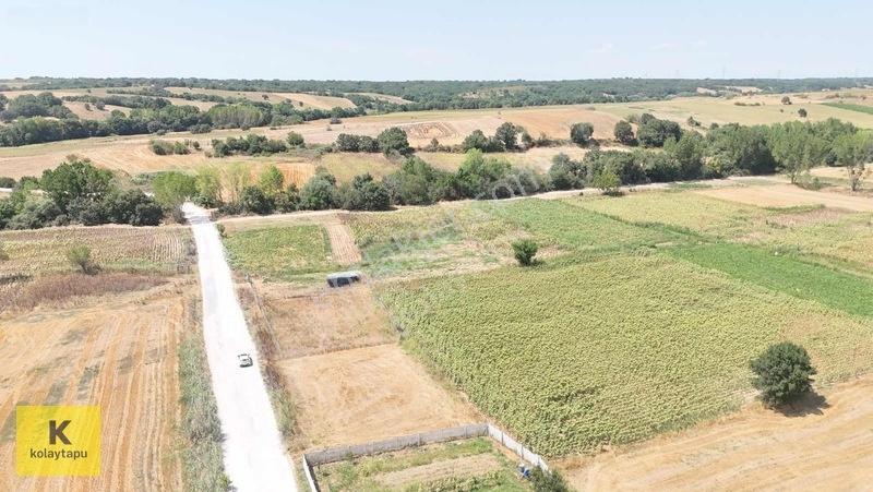 Kolaytapu Trakya'nın Gözdesi (ünlülerin Köyünde) Hobi Bahçesi — fotoğraf 12