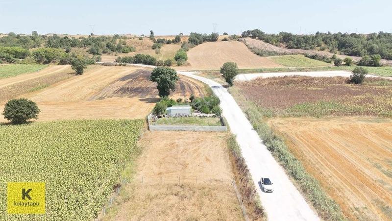 Kolaytapu Trakya'nın Gözdesi (ünlülerin Köyünde) Hobi Bahçesi — fotoğraf 15