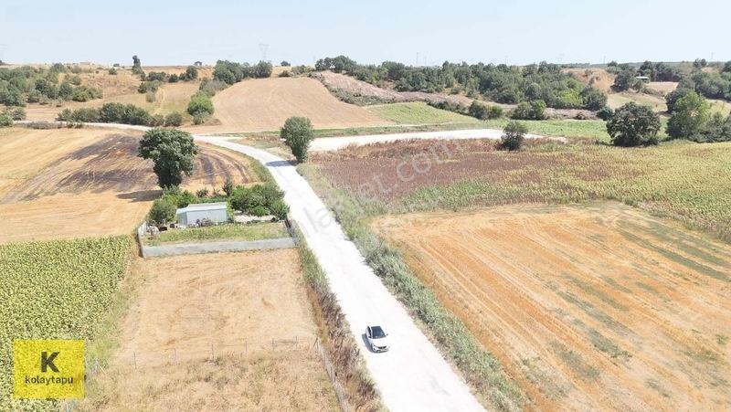 Kolaytapu Trakya'nın Gözdesi (ünlülerin Köyünde) Hobi Bahçesi — fotoğraf 16