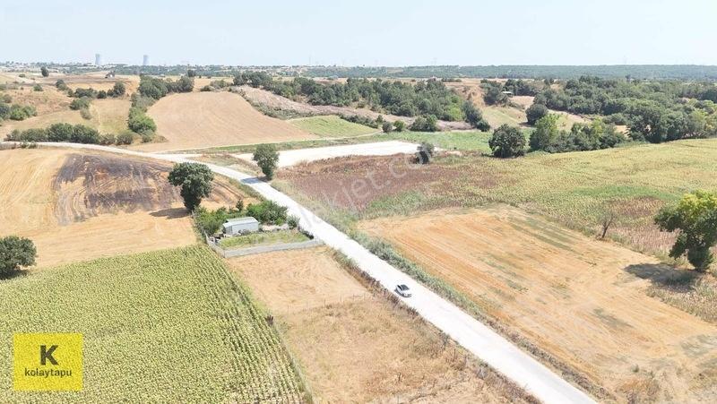 Kolaytapu Trakya'nın Gözdesi (ünlülerin Köyünde) Hobi Bahçesi — fotoğraf 17