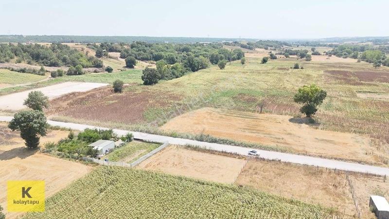 Kolaytapu Trakya'nın Gözdesi (ünlülerin Köyünde) Hobi Bahçesi — fotoğraf 20