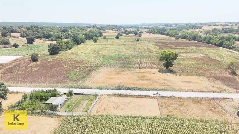 Kolaytapu Trakya'nın Gözdesi (ünlülerin Köyünde) Hobi Bahçesi — fotoğraf 21