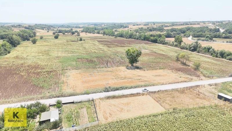Kolaytapu Trakya'nın Gözdesi (ünlülerin Köyünde) Hobi Bahçesi — fotoğraf 22
