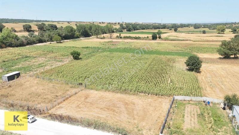 Kolaytapu Trakya'nın Gözdesi (ünlülerin Köyünde) Hobi Bahçesi — fotoğraf 25
