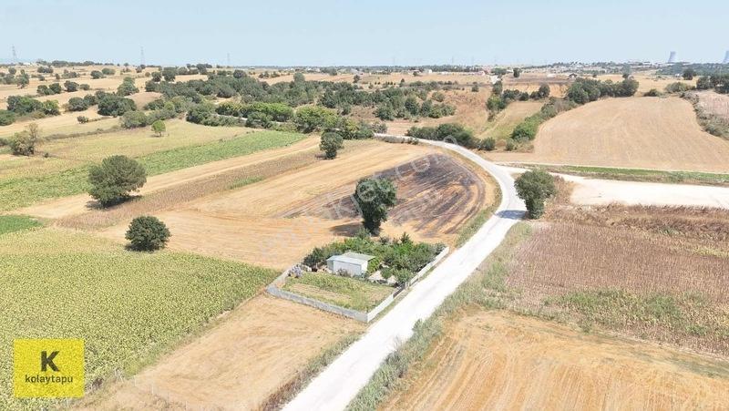 Kolaytapu Trakya'nın Gözdesi (ünlülerin Köyünde) Hobi Bahçesi — fotoğraf 28
