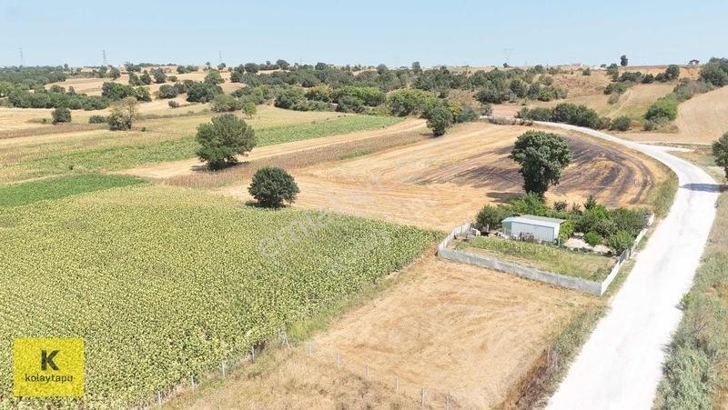 Kolaytapu Trakya'nın Gözdesi (ünlülerin Köyünde) Hobi Bahçesi — fotoğraf 29