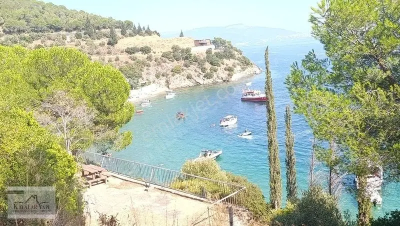 Yalova Armutlu Cennet Koyu Denize Sıfır Zeytinlik