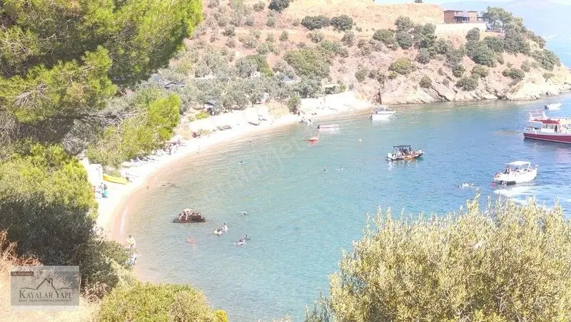 Yalova Armutlu Cennet Koyu Denize Sıfır Zeytinlik — fotoğraf 3