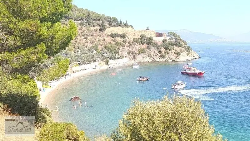Yalova Armutlu Cennet Koyu Denize Sıfır Zeytinlik — fotoğraf 4