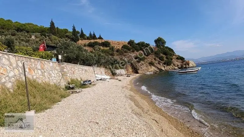 Yalova Armutlu Cennet Koyu Denize Sıfır Zeytinlik — fotoğraf 5