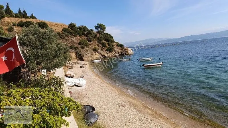 Yalova Armutlu Cennet Koyu Denize Sıfır Zeytinlik — fotoğraf 9