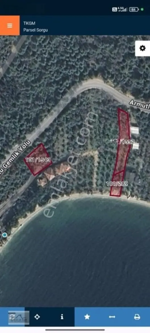 Yalova Armutlu Cennet Koyu Denize Sıfır Zeytinlik — fotoğraf 28