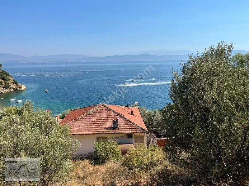 Yalova Armutlu Cennet Koyu Denize Sıfır Zeytinlik — fotoğraf 29