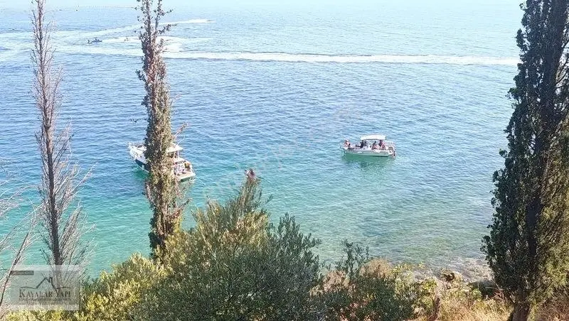 Yalova Armutlu Cennet Koyu Denize Sıfır Zeytinlik — fotoğraf 30