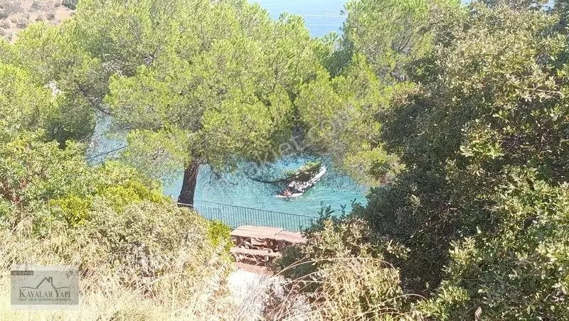 Yalova Armutlu Cennet Koyu Denize Sıfır Zeytinlik — fotoğraf 31