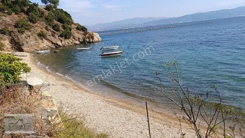 Yalova Armutlu Cennet Koyu Denize Sıfır Zeytinlik — fotoğraf 33