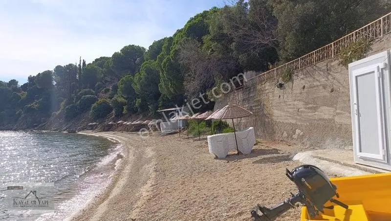 Yalova Armutlu Cennet Koyu Denize Sıfır Zeytinlik — fotoğraf 34