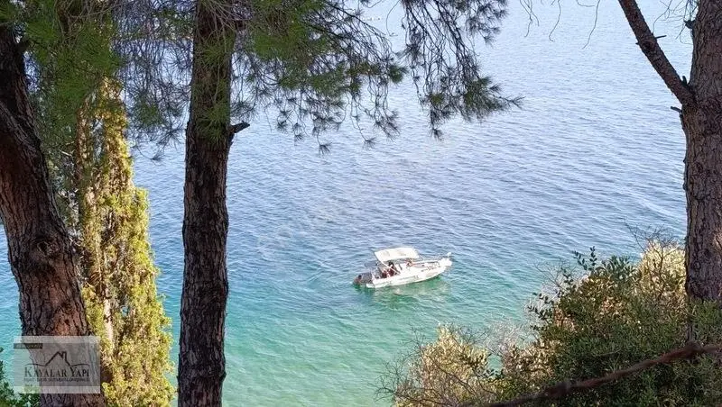 Yalova Armutlu Cennet Koyu Denize Sıfır Zeytinlik — fotoğraf 35