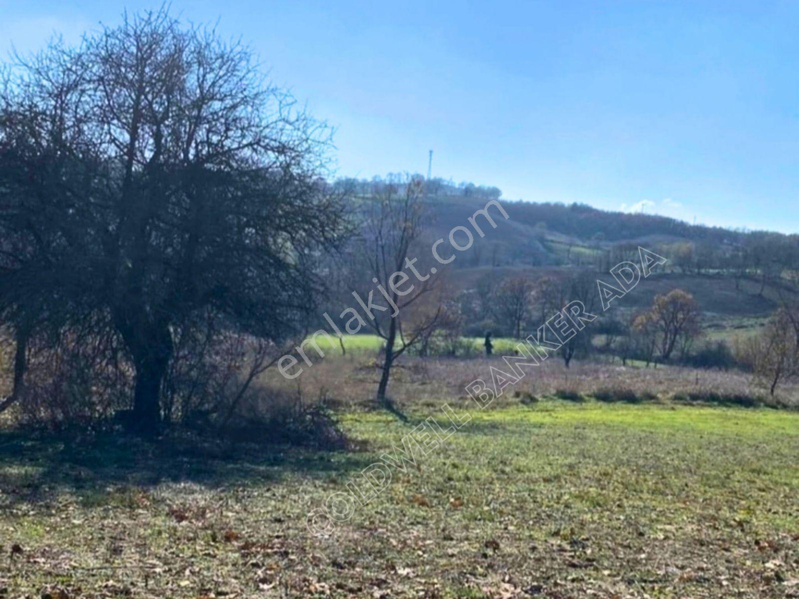 Çanakkale Çan Doğaca’da Elektrik Ve Su Kapısında 7.600 M² Satılık Tarla — fotoğraf 6