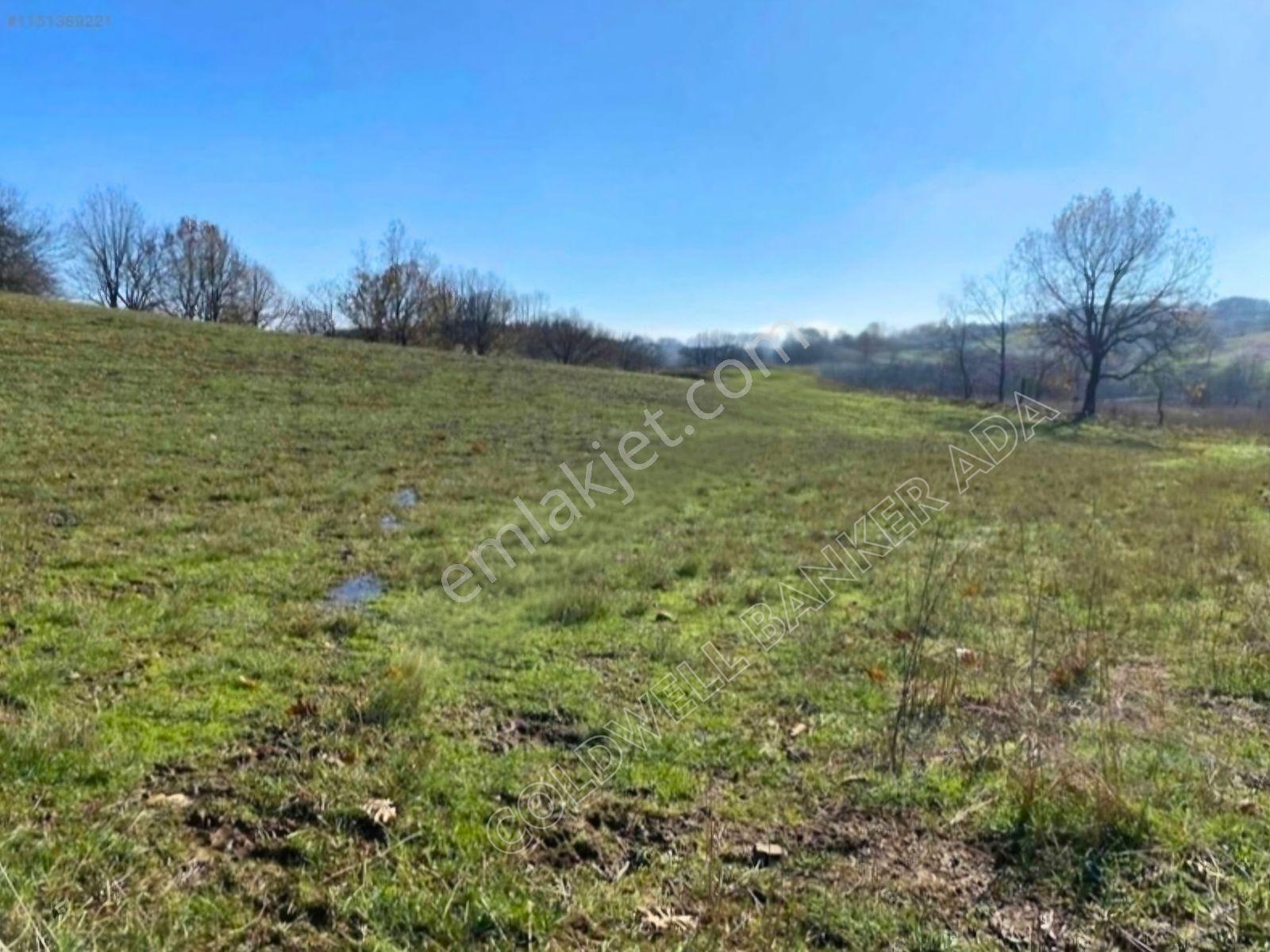 Çanakkale Çan Doğaca’da Elektrik Ve Su Kapısında 7.600 M² Satılık Tarla — fotoğraf 7