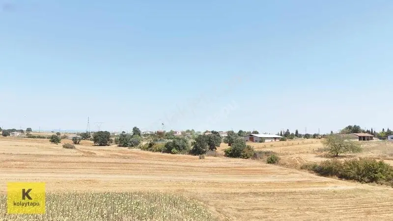 Kolaytapu Lüleburgaz Hamitabat 1192m² Satılık Takasa Açık Arazi — fotoğraf 15