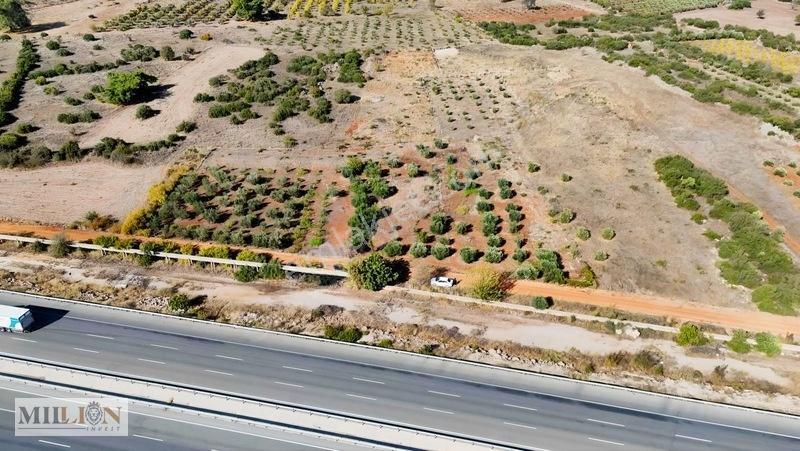 Kuzey Çevre Yolu Cepheli 2057 M² Müstakil 2b Satılık Zeytinlik — fotoğraf 4