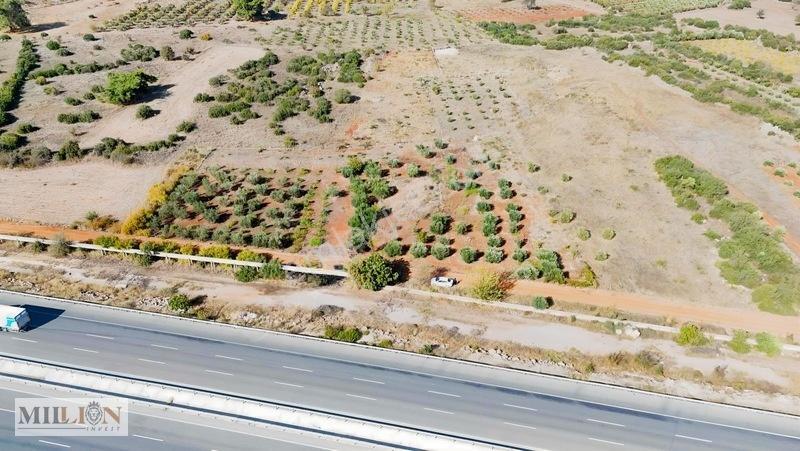 Kuzey Çevre Yolu Cepheli 2057 M² Müstakil 2b Satılık Zeytinlik — fotoğraf 5