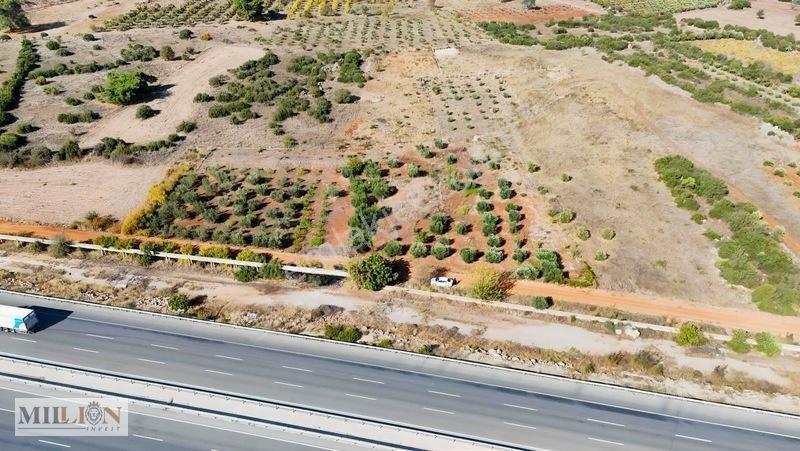Kuzey Çevre Yolu Cepheli 2057 M² Müstakil 2b Satılık Zeytinlik — fotoğraf 8