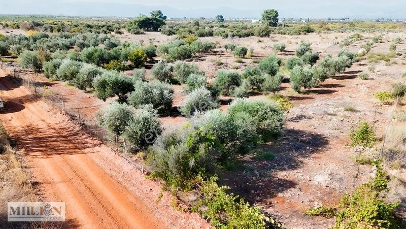 Kuzey Çevre Yolu Cepheli 2057 M² Müstakil 2b Satılık Zeytinlik — fotoğraf 10
