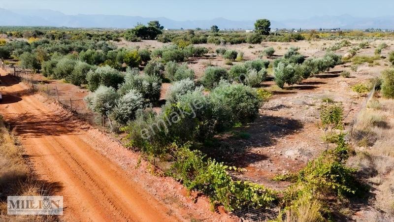 Kuzey Çevre Yolu Cepheli 2057 M² Müstakil 2b Satılık Zeytinlik — fotoğraf 12