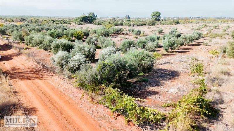 Kuzey Çevre Yolu Cepheli 2057 M² Müstakil 2b Satılık Zeytinlik — fotoğraf 13