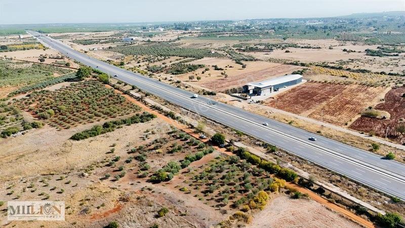 Kuzey Çevre Yolu Cepheli 2057 M² Müstakil 2b Satılık Zeytinlik — fotoğraf 15