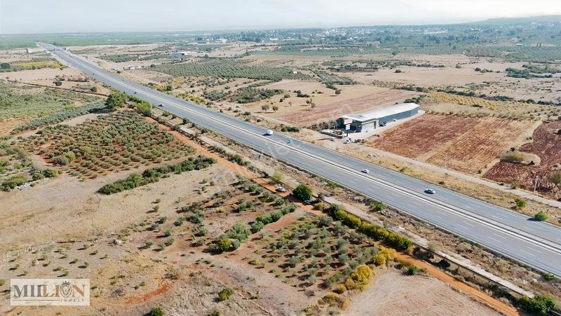 Kuzey Çevre Yolu Cepheli 2057 M² Müstakil 2b Satılık Zeytinlik — fotoğraf 18