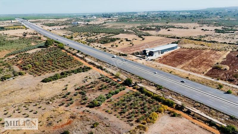 Kuzey Çevre Yolu Cepheli 2057 M² Müstakil 2b Satılık Zeytinlik — fotoğraf 19