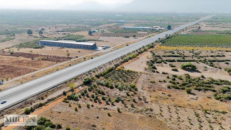 Kuzey Çevre Yolu Cepheli 2057 M² Müstakil 2b Satılık Zeytinlik — fotoğraf 24