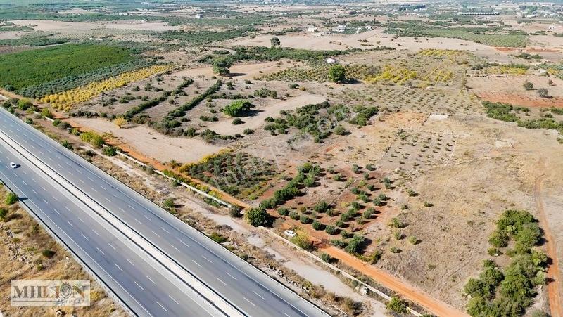 Kuzey Çevre Yolu Cepheli 2057 M² Müstakil 2b Satılık Zeytinlik — fotoğraf 29