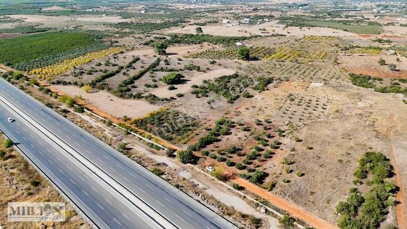 Kuzey Çevre Yolu Cepheli 2057 M² Müstakil 2b Satılık Zeytinlik — fotoğraf 30