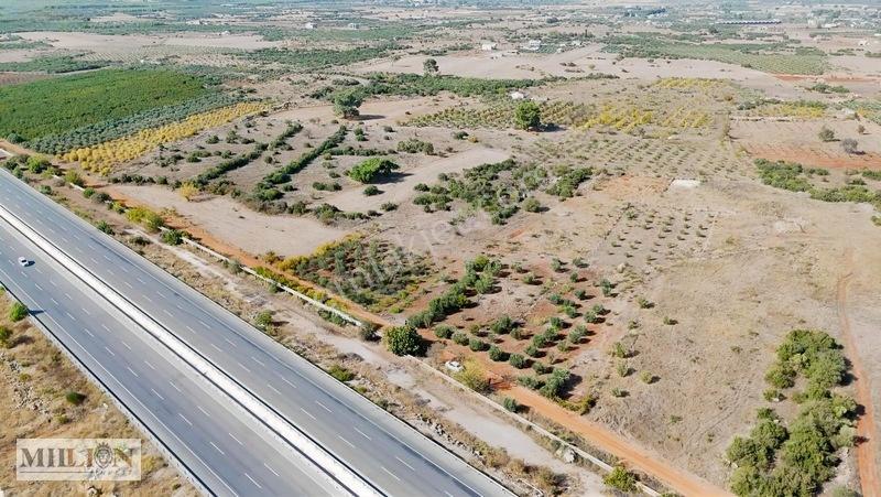 Kuzey Çevre Yolu Cepheli 2057 M² Müstakil 2b Satılık Zeytinlik — fotoğraf 31