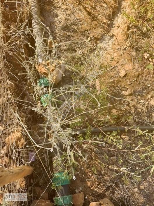 Kuzey Çevre Yolu Cepheli 2057 M² Müstakil 2b Satılık Zeytinlik — fotoğraf 32