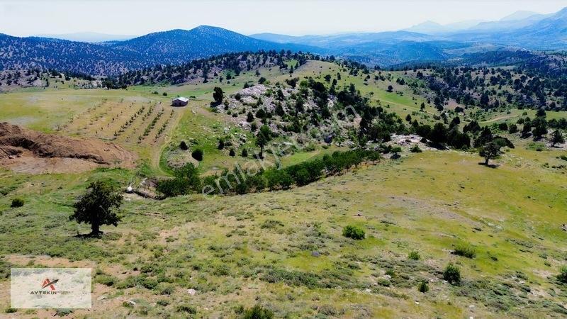 Bahçelerin Yanında 1.481 M² Müstakil Tapu Bahçelik Tarla