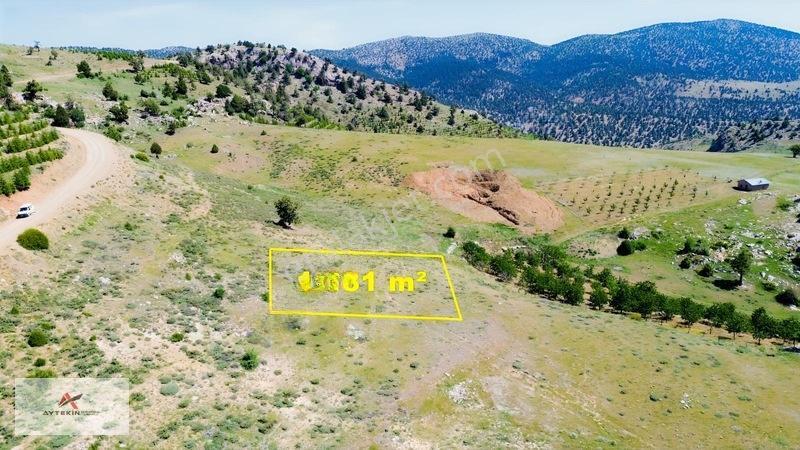 Bahçelerin Yanında 1.481 M² Müstakil Tapu Bahçelik Tarla — fotoğraf 2